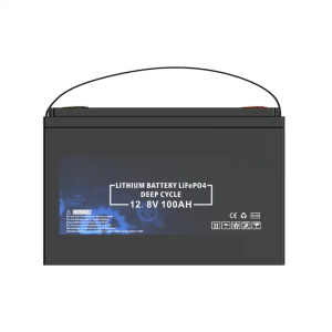 Bateria integrada BMS LiFePO4 12V 100Ah de longa duração